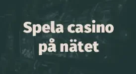 CasinoUtanGränser.se
