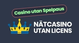 Casino utan spelpaus hos nätcasinoutanlicens.com